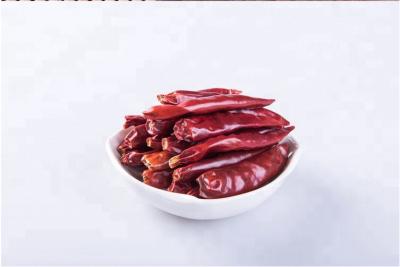 Κίνα Εύγευστη σχάρα ξηρά Χιλή de Arbol Peppers τσίλι Tianjin κόκκινη προς πώληση