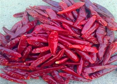 Κίνα Η εδώδιμη κόκκινη Chiles νέα συγκομιδή Tianjin προήλθε ξηρά πιπέρια τσίλι Arbol προς πώληση