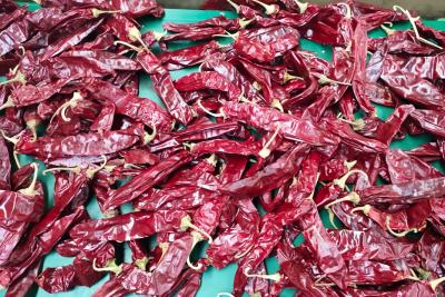 China XingLong Droge Paprika Peppers 16CM Ontwaterd Rood Chili Pods Te koop