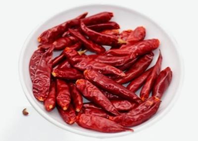 China Tientsin, das Paprika-sonnengetrockneten Stemless würzigen roten Paprika entwässert zu verkaufen