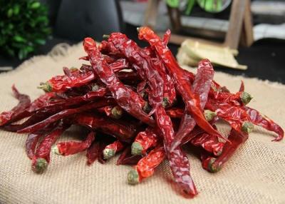 China Rote Chile Hülsen SHU10000 Xian Chilli Pungent Flavor Dried 10 PPB zu verkaufen