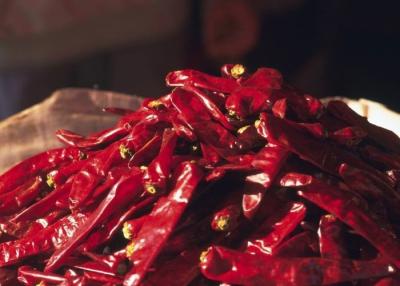 China Rotes Erjingtiao trocknete Chilis würzigen aufgehaltenen Entwässerungschili peppers zu verkaufen