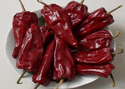 China 220 Pfeffer ASTA Paprika Sweet Red Pepper Drieds Guajillo Chile blättern ab zu verkaufen