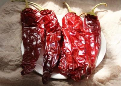 China Enig Herb Dried Paprika Peppers 1000SHU 20cm Droge Roodgloeiende Spaanse peper Te koop