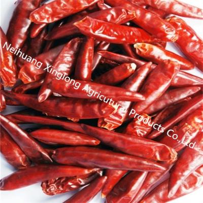 Κίνα Καλά γούστου Dried Chili de Arbol Mild ξηρά κόκκινα τσίλι SHU 5000 προς πώληση