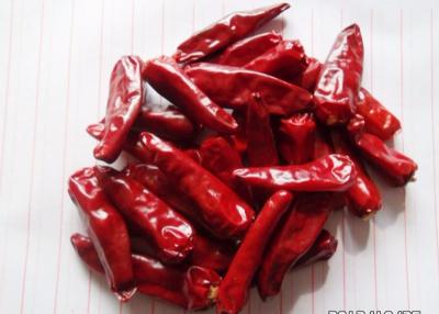 China 8000 scharfe entwässerte Peperoni SHU Chinese Dried Chili Pepperss 7CM zu verkaufen