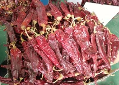 China Guajillo Sun Dried Chilli Red Guajillo Peppers Sweet Flavor KOSHER zu verkaufen