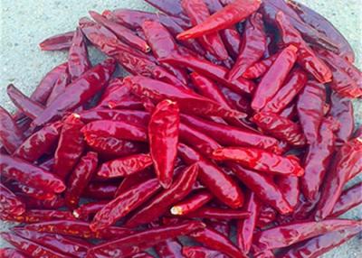 China Stemless ANZEIGE trocknete Vögel mustern Paprikas 20000 SHU Red Chilli Peppers zu verkaufen