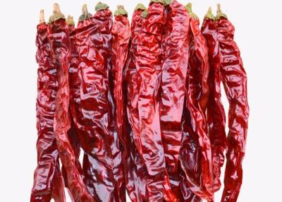 China ANZEIGE trocknete ganze getrocknete unbestrahlte Paprikas Xian Chillis 20CM zu verkaufen