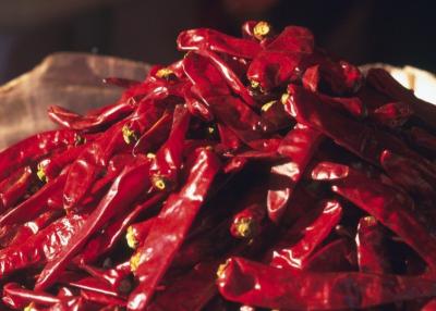 China Süßes Erjingtiao trocknete Feuchtigkeit Chilis 12% Erjingtiao-Pfeffer mit Stamm zu verkaufen