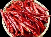 Κίνα Low Moisture Dried Red Cayenne Chili Pepper 12% Max 1% High Purity προς πώληση