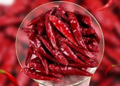 China Chaotian trocknete rote Paprika-ganze rote Paprikas Tianjin Chili Dehydrated zu verkaufen