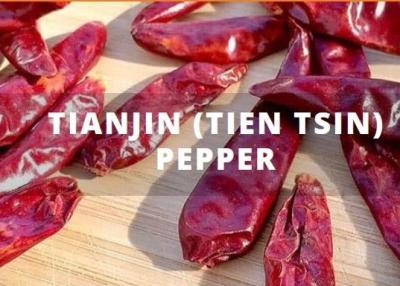 China 12% Feuchtigkeit 4-7cm Getrocknete Birds Eye Chili Ganze Chaotische Rote Chilis zu verkaufen