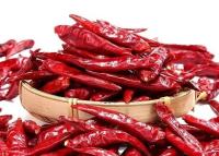 China kleiner würziger getrockneter rote Paprika-nullzusatz des Satz-10kg zu verkaufen