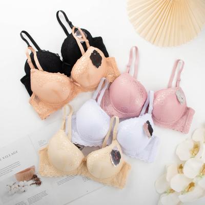 China QUICK DRY sexy lace thick section plus size women bra full cup underwire ropa bras de mujer lift up inner bra for women for sale