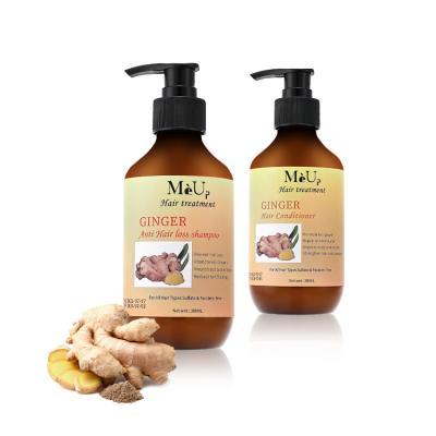 China Custom Natural Organic Hair Treatment Hair Loss Prevention Anti Growth Anti Dandruff Hair Loss Ginger Shampoo and Conditioner Set for sale