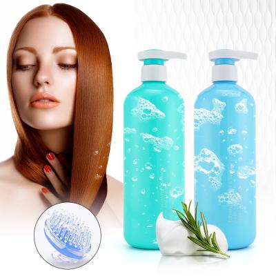 China Color-Protecting Private Label Hair Care Shampoo Anti Dandruff Organic Natural Oil Control Herbal Hair Shampoo for sale