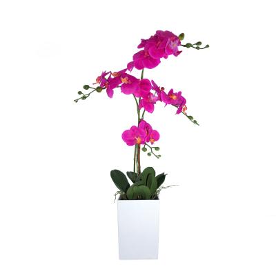 China Natural direct plastic home decorative plastic pot simulation orchid flower factory contact decorative artificial flowers for sale