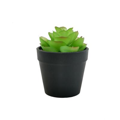 China Environmental Protection Home Mini Mache Succulent Plants Aloe Potted Artificial Gray Deco Pulp High Quality Paper for sale