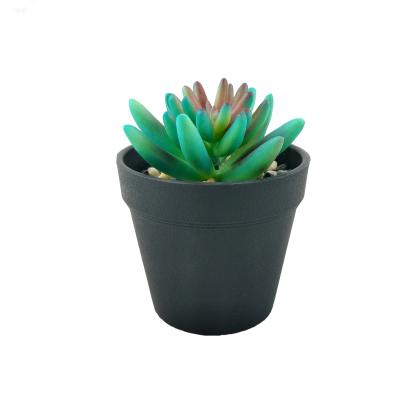 China Environmental Protection Simulate Green Plants Woodland Plant Decoration Succulent Wholesale Home Decor Simulate Green Plants Wall Art for sale