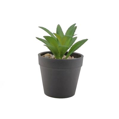 China Caqpo Environmental Protection Plants Wall Art Home Leaf Artificial Succulent Living Decor Ornamental Woodland Other Plastic Natural Plant for sale