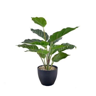 China Wholesale Hot Selling Environmental Protection Plants Artificial Leaves Realistic Garden Decoration Home Decoration Wedding Evergreen for sale