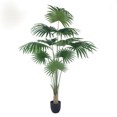 China Artificial Environmental Protection Home Plants For Decor Wholesale Nordic Bonsai Home Sale Woodland Plant Palmetto Style Wall Art Ornament for sale