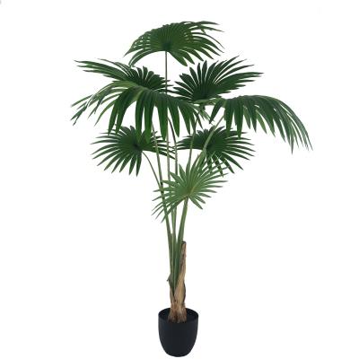 China Wholesale Decorative Artificial Bonsai Plants Home Wall Art Environmental Protection Home Plant Palmetto Ornamental Living Room Decor for sale