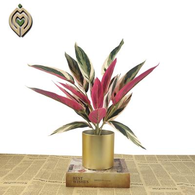 China Minimalist gold light basin, colorful plants, China's best-selling magenta for sale