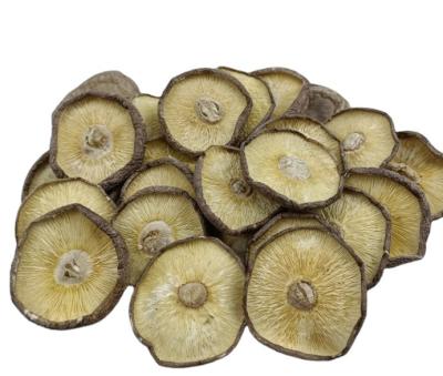 China Reishi shitake xiangxin mushroom dry new harvest GU yellow color without thin stem mushroom light weight for sale