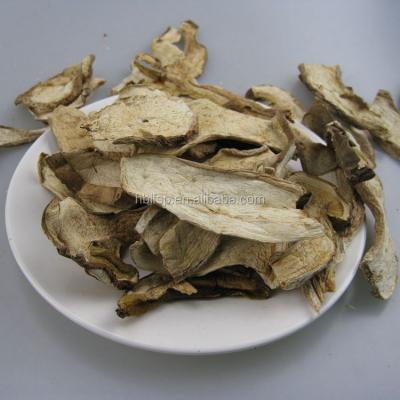 China Dry Wild Dry Porcini Funghi Spreads Bulk Slices Pack for sale