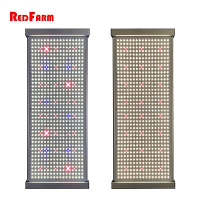 China Redfarm G1 Quantum G1 240W 320W Samsung lm301B QB288 led panel style grow light with UV IR channel for indoor plants for sale