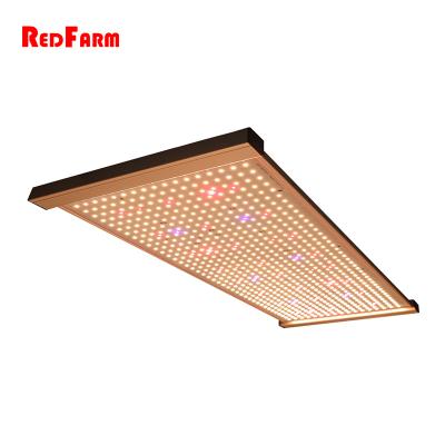 China Cheap price 240w 320w IR UV led panel style Redfarm grow light G1 quantum320 full spectrum flower veg grow light kits for sale