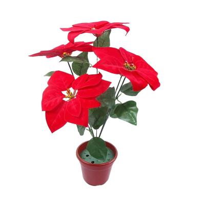 China Real Natural Real Touch Christmas Bouquet Artificial Flower Decorative Touch Poinsettia With 5/7 Heads for sale