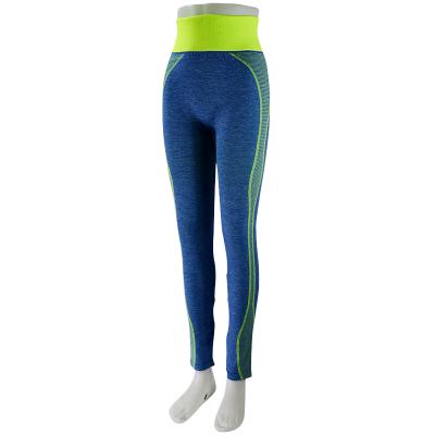 China Breathable Running Legging Repurposed Fashion Breathable Seamless Yoga Sports Brightly Legging For Women Girls for sale