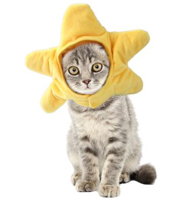 China A new viable starfish shaped pet hat and cat hat to keep pets warm in the winter for sale