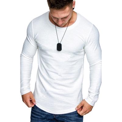 China Custom Made Cotton Anti-Wrinkle Full Sleeve Men's Long Sleeve Sport O Neck Casual Single T-Shirt For Male for sale