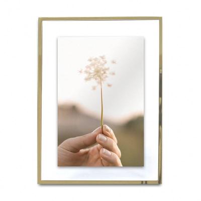 China MIMOSA MOMENTS Modern Gold Metal Floating Pressed Glass Picture Frame with Metal Easel, Photo Display for Office for sale