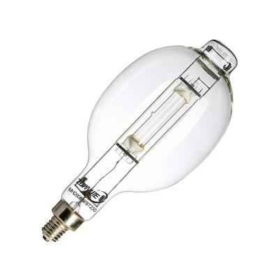 China Direct Wholesale Price BT200 MH2000W Metal Halide Lamps 2000w Fish Metal Supply Green Light BT230 for sale