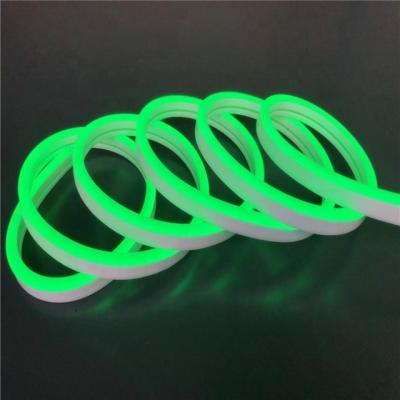 China LANDSCAPE Neon Light Bulb Decoration DC12V 1CM 6MM 8MM Silicone Cable for sale