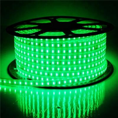 China LANDSCAPE IP65 SMD 2835 Outdoor 220V Led Strip Lighting 110V for sale