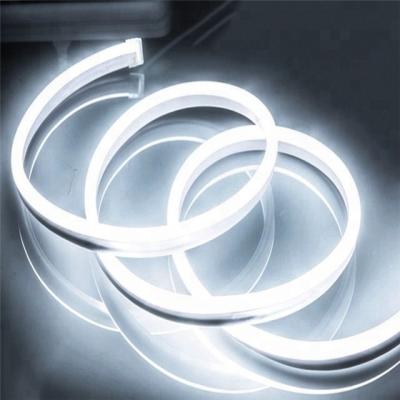 China LANDSCAPE Wholesale Price AC110V 220V 8*16MM PVC Pipe Cable Neon for sale