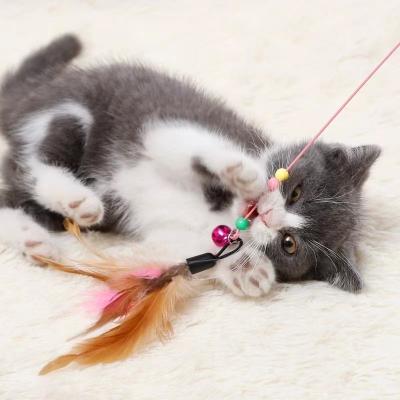 China Cat Toys Cat Teaser Wire Stocked Cat Stick Pet Interactive Replaceable Funny Head for sale