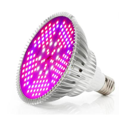 China Seed Seed Planting Led Grow Light Indoor Plants Vegetables Full Spectrum Led Grow Light for sale