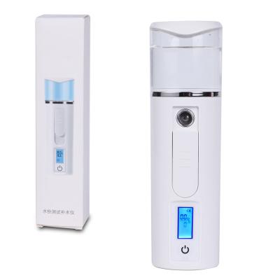 China Portable Ionic Facial Steam Humidifier Spray Moisturizer Moisturizer Nano Mist Sprayer for sale