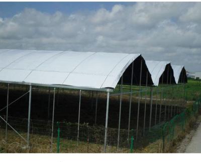 China Moisture Proof Heavy Duty Black And White Panda Silage Stretch Plastic Cover Film For Packing Silage for sale