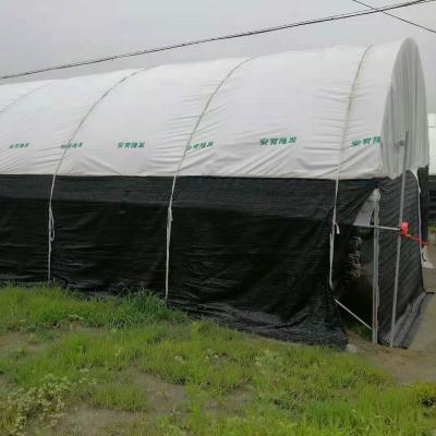 China Large Size Moisture Proof 6mil Panda Film Plastic Poly Film Black And White Used In Hydroponics System Agricultural Film for sale