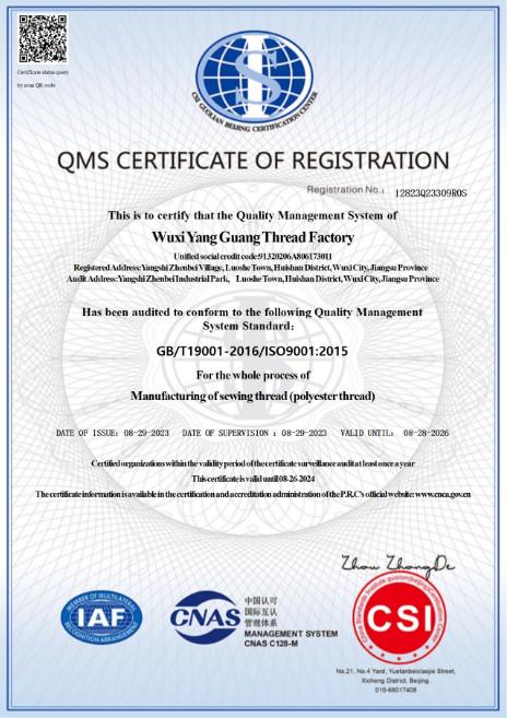 ISO9001 - Wuxi Yang Guang Thread Factory