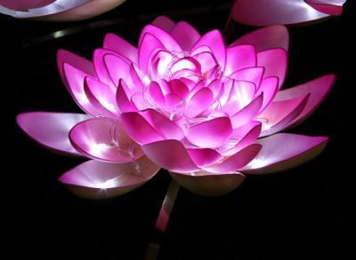 China Tree Lamp Lotus Lamp Landscape LED Modeling Colored Light Tree Decorative Lamp for sale