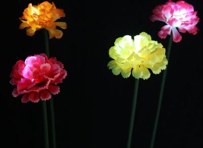 China LED Simulation Carnation Lights Park Lawn, Beautiful Display, Decorative Lighting Festival for sale